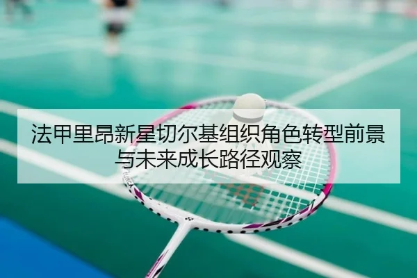 fa-jia-li-ang-xin-xing-qie-er-ji-zu-zhi-jue-se-zhuan-xing-qian-jing-yu-wei-lai-cheng-zhang-lu-jing-guan-cha-2-856.jpg