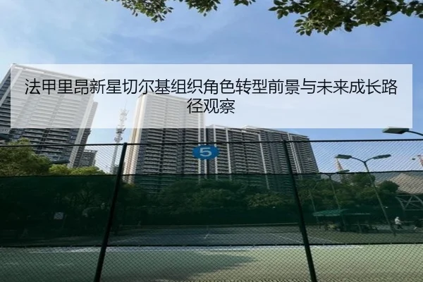 法甲里昂新星切尔基组织角色转型前景与未来成长路径观察